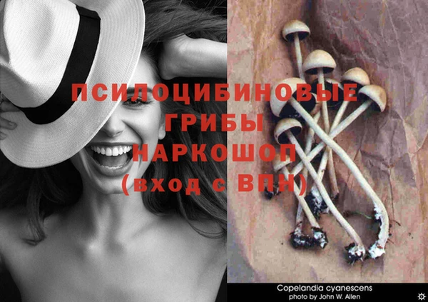 дживик Арсеньев