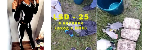 крисы Аркадак