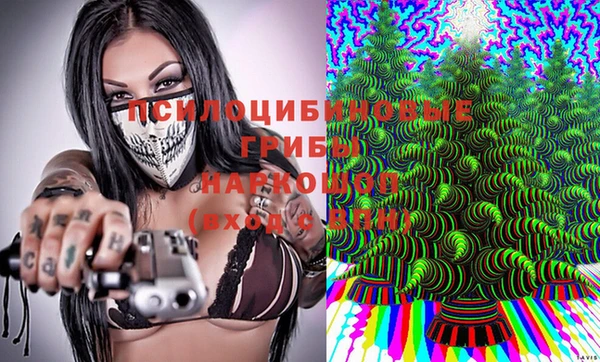 крисы Аркадак